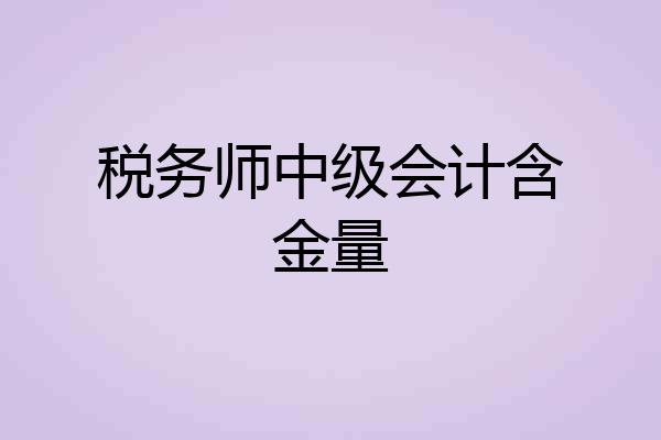 税务师中级会计含金量