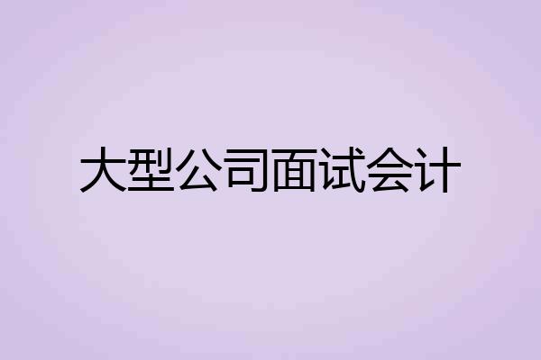 大型公司面试会计