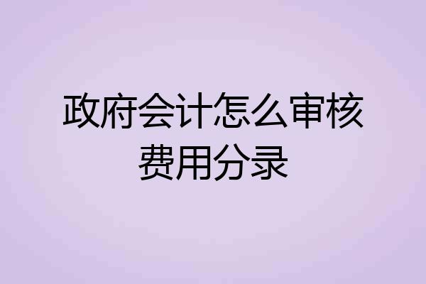 政府会计怎么审核费用分录