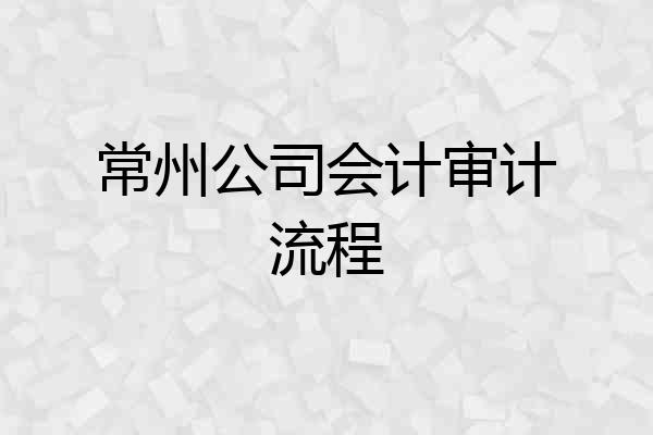 常州公司会计审计流程
