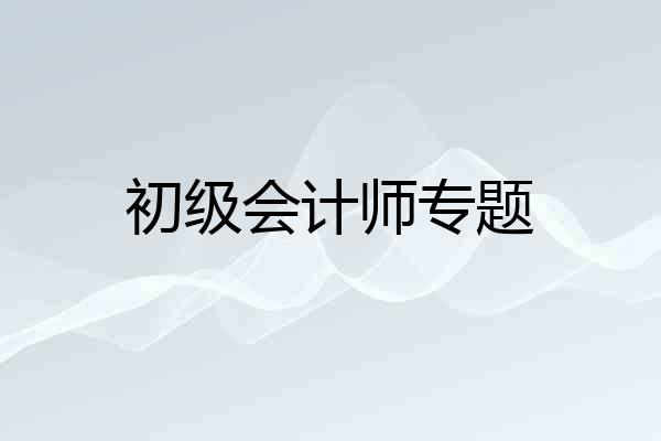 初级会计师专题