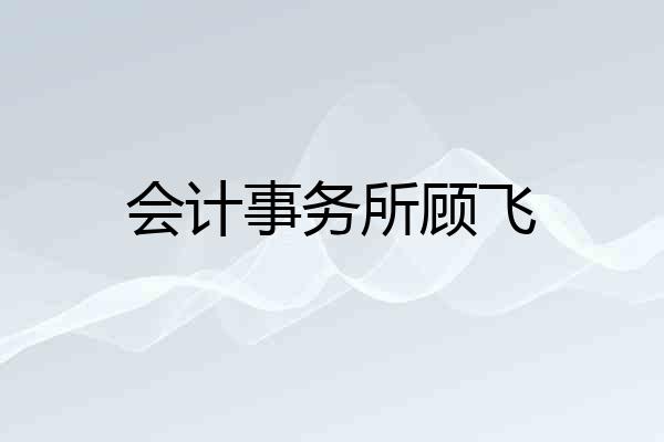 会计事务所顾飞