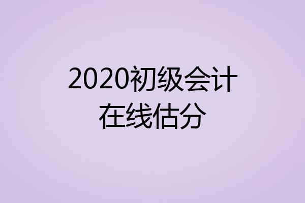2020初级会计在线估分