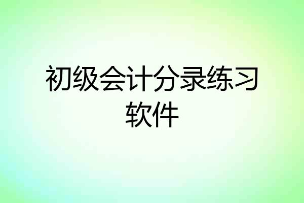 初级会计分录练习软件