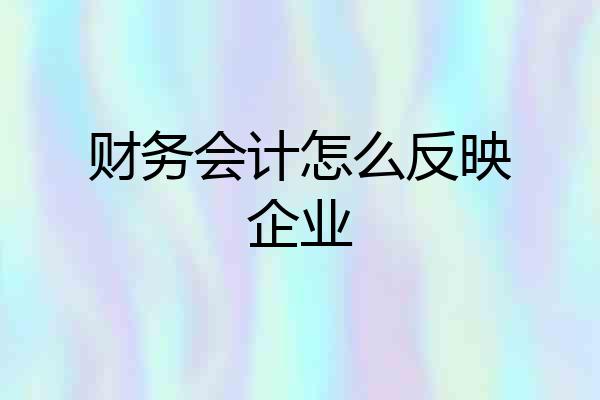 财务会计怎么反映企业