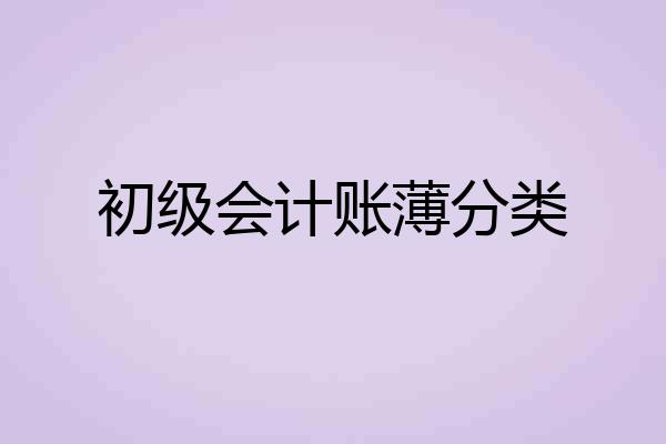 初级会计账薄分类