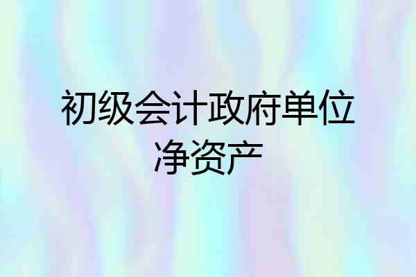 初级会计政府单位净资产