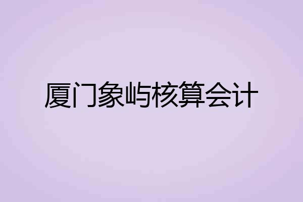 厦门象屿核算会计
