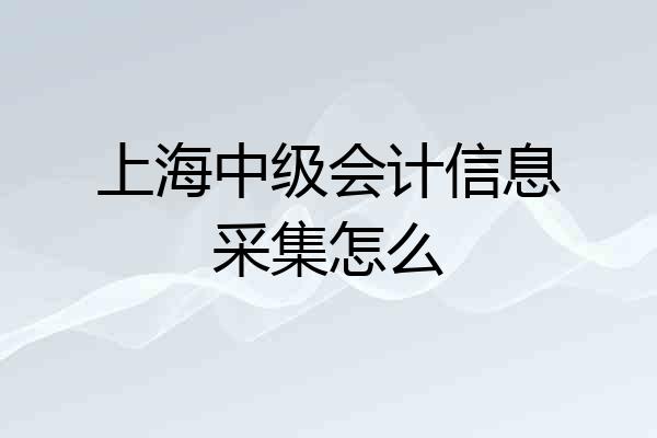 上海中级会计信息采集怎么