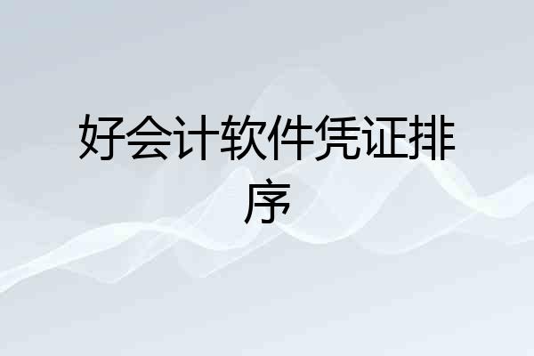 好会计软件凭证排序