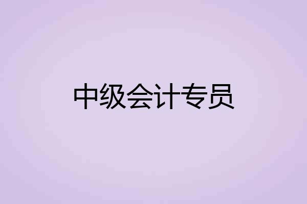 中级会计专员