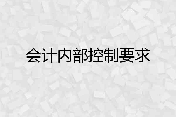 会计内部控制要求