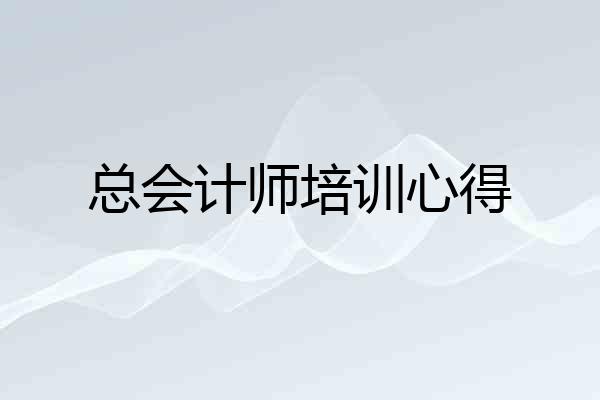 总会计师培训心得