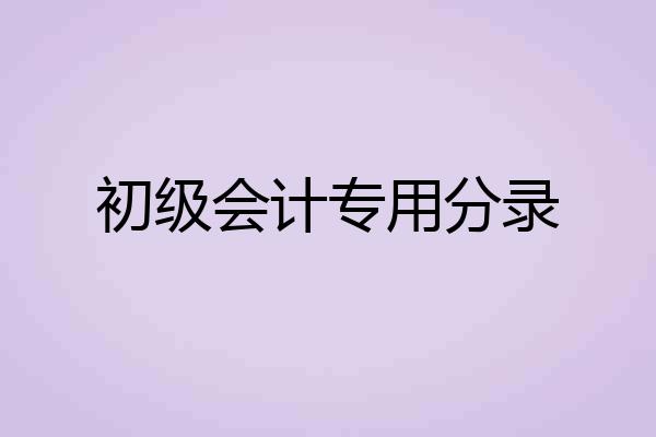 初级会计专用分录