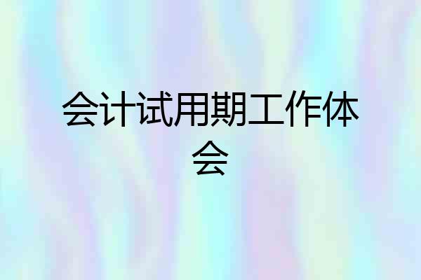 会计试用期工作体会
