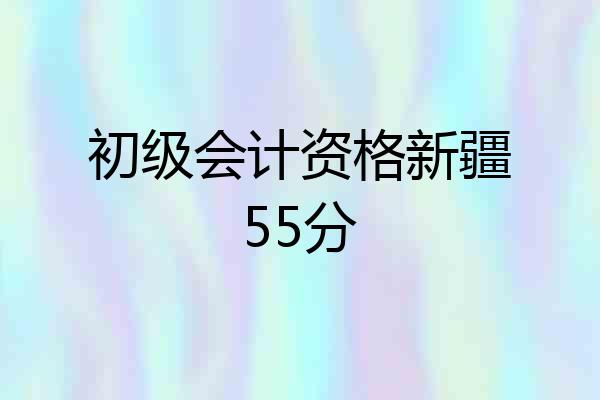 初级会计资格新疆55分