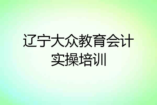 辽宁大众教育会计实操培训