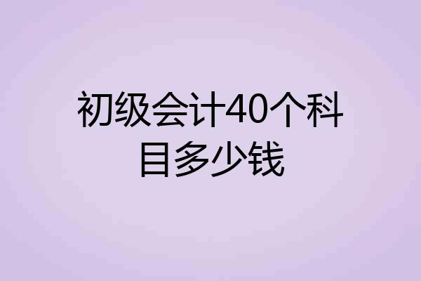 初级会计40个科目多少钱