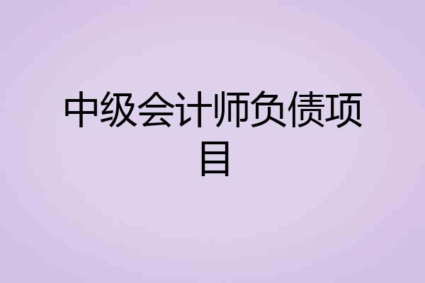 中级会计师负债项目