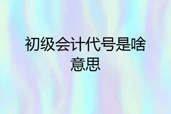 初级会计代号是啥意思