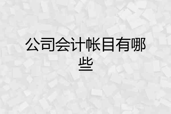 公司会计帐目有哪些
