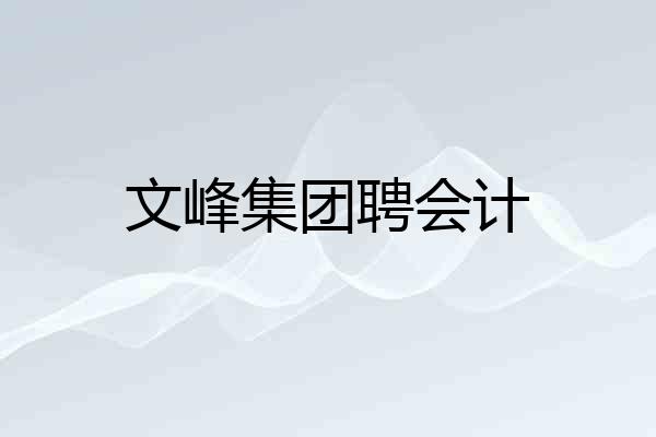 文峰集团聘会计