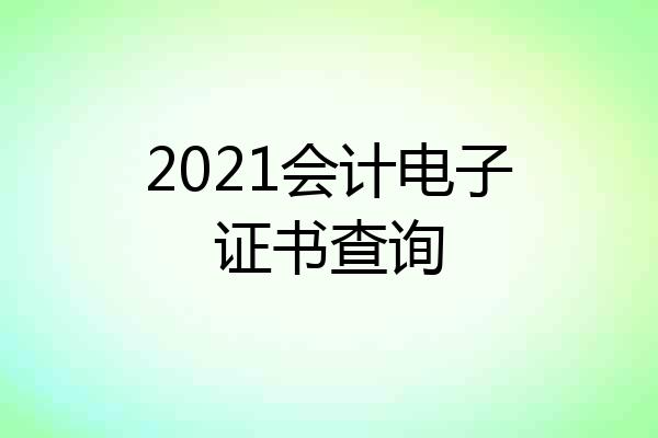 2021会计电子证书查询