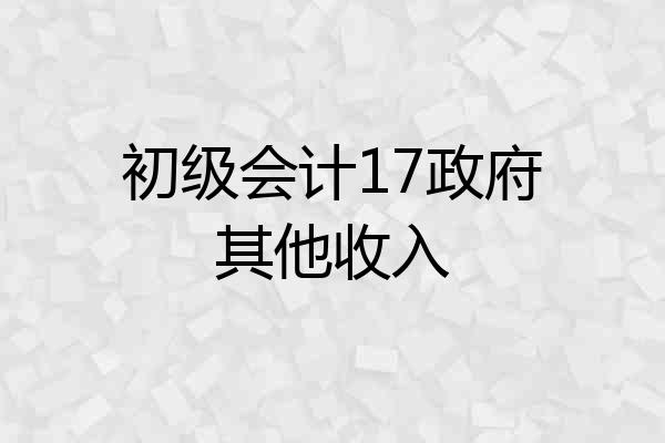 初级会计17政府其他收入