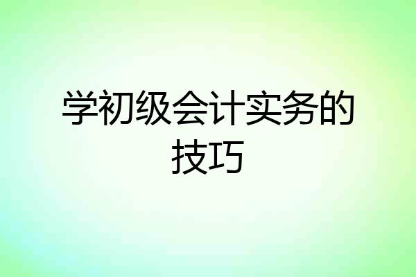 学初级会计实务的技巧