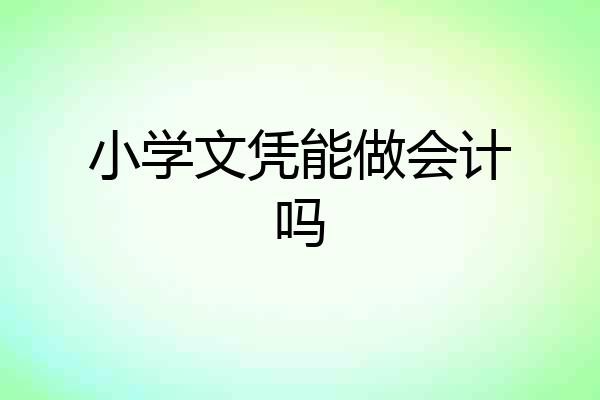 小学文凭能做会计吗