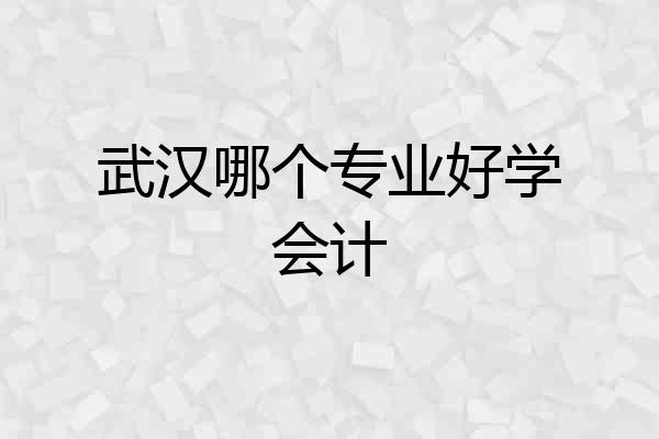 武汉哪个专业好学会计