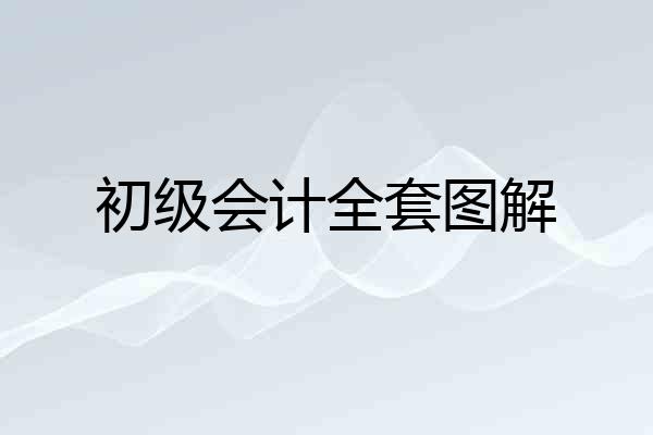 初级会计全套图解