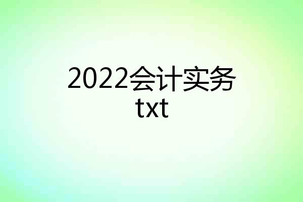 2022会计实务txt
