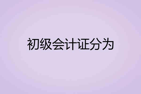 初级会计证分为