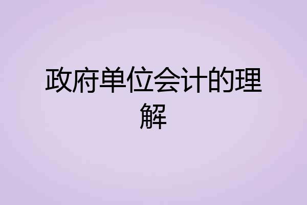 政府单位会计的理解
