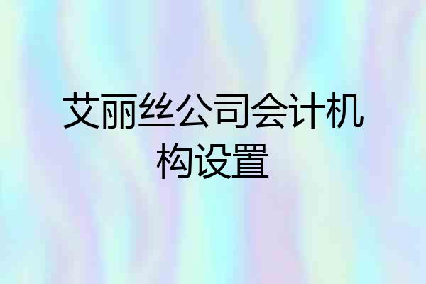 艾丽丝公司会计机构设置