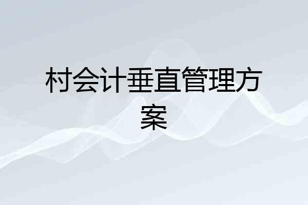 村会计垂直管理方案