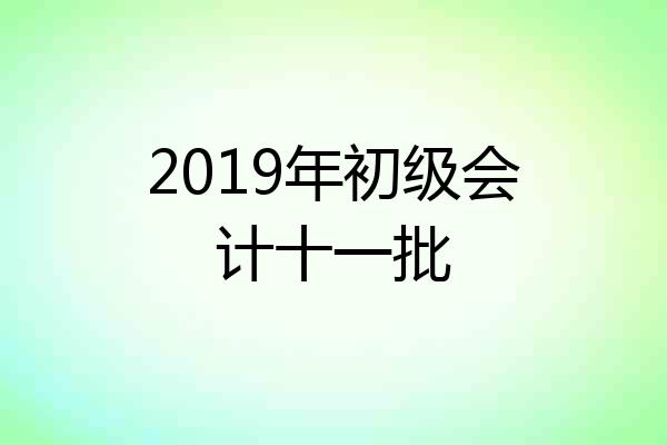 2019年初级会计十一批
