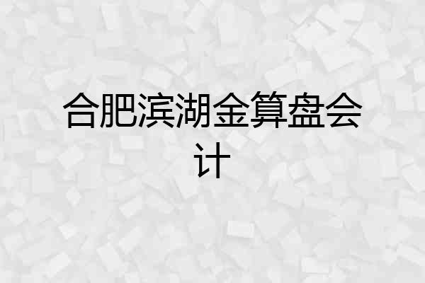 合肥滨湖金算盘会计