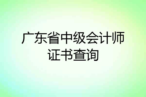 广东省中级会计师证书查询