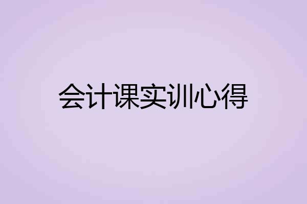 会计课实训心得