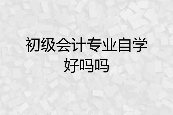 初级会计专业自学好吗吗