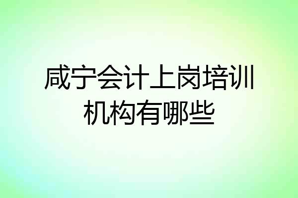 咸宁会计上岗培训机构有哪些