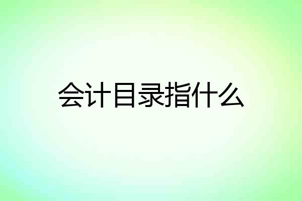会计目录指什么