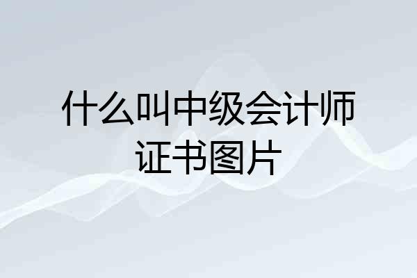 什么叫中级会计师证书图片