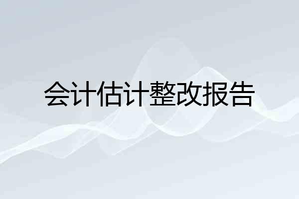 会计估计整改报告