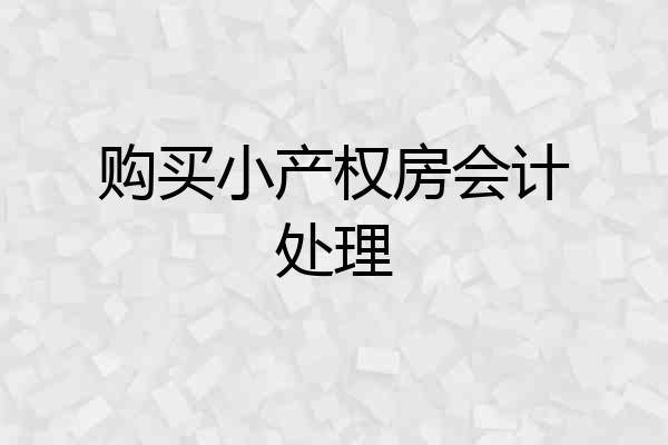 购买小产权房会计处理