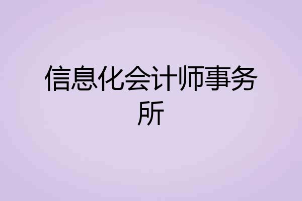 信息化会计师事务所