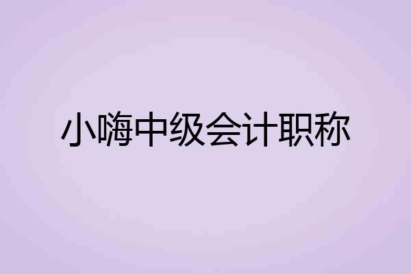 小嗨中级会计职称