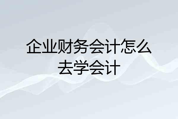 企业财务会计怎么去学会计